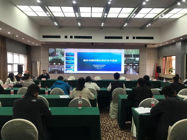 專業引領，技術賦能 市園林科研院助力全市園林綠化與影視培訓雙提升